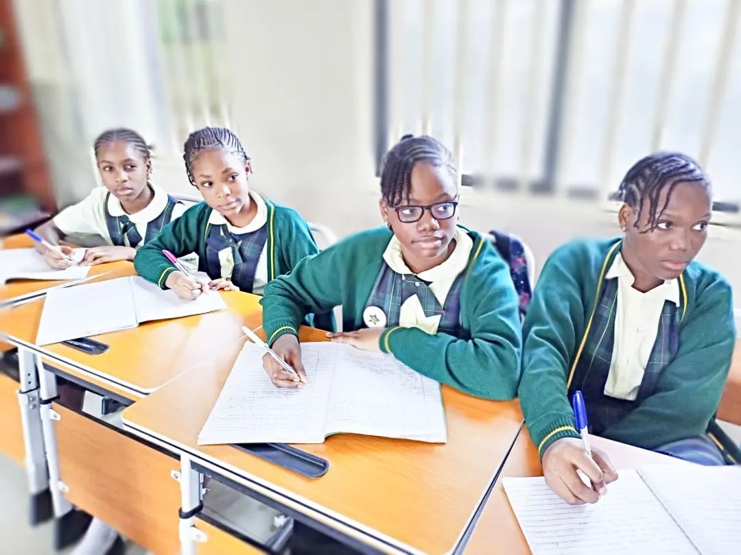 311571854_783454279756575_6291501833062047701_n